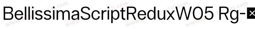 BellissimaScriptReduxW05 Rg字体转换